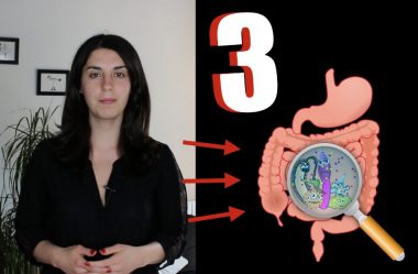 3 CONSEILS PUISSANTS POUR FORTIFIER VOTRE FLORE INTESTINALE