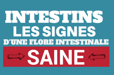 INTESTINS – Les signes qui indiquent si vous avez une flore intestinale saine