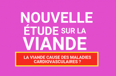 Une nouvelle étude sur la viande !