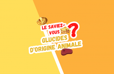 6 excellentes sources de glucides d’origine animale