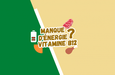 Tout sur la vitamine B12 – Etes-vous tout le temps sans énergie et dynamisme ?