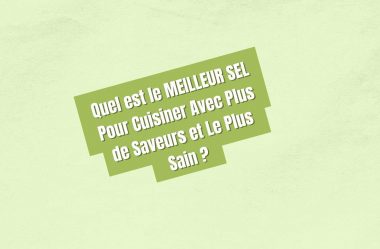 Quel est le MEILLEUR SEL Pour Cuisiner Avec Plus de Saveurs et Le Plus Sain ? Les meilleures et pire