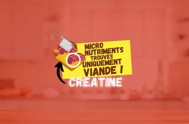 10 Micro nutriments trouvés seulement dans les aliments d’origine animale