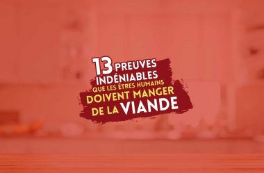 Comment devons nous manger ? 13 preuves INDENIABLES que nous sommes fait pour manger de la viande !